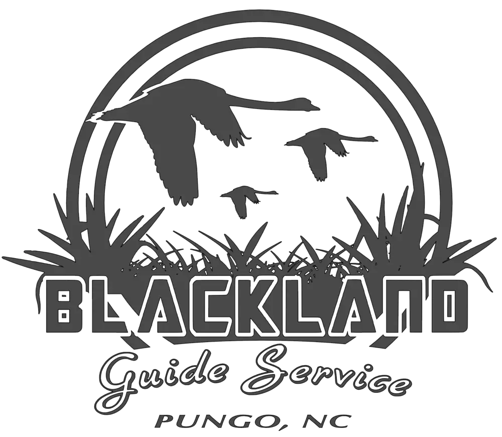 blackland guide service