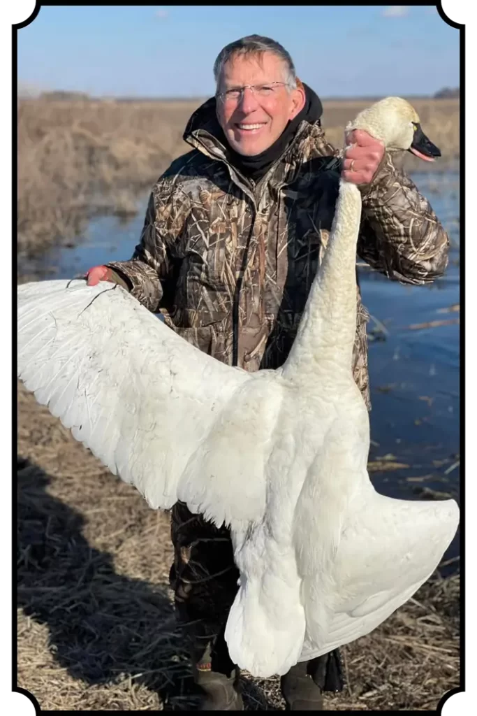 tundra swan hunting