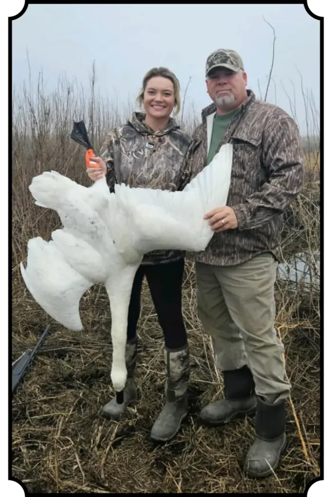 tundra swan hunting